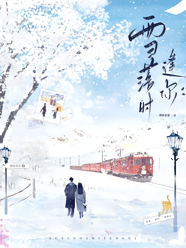 雪落时逢你