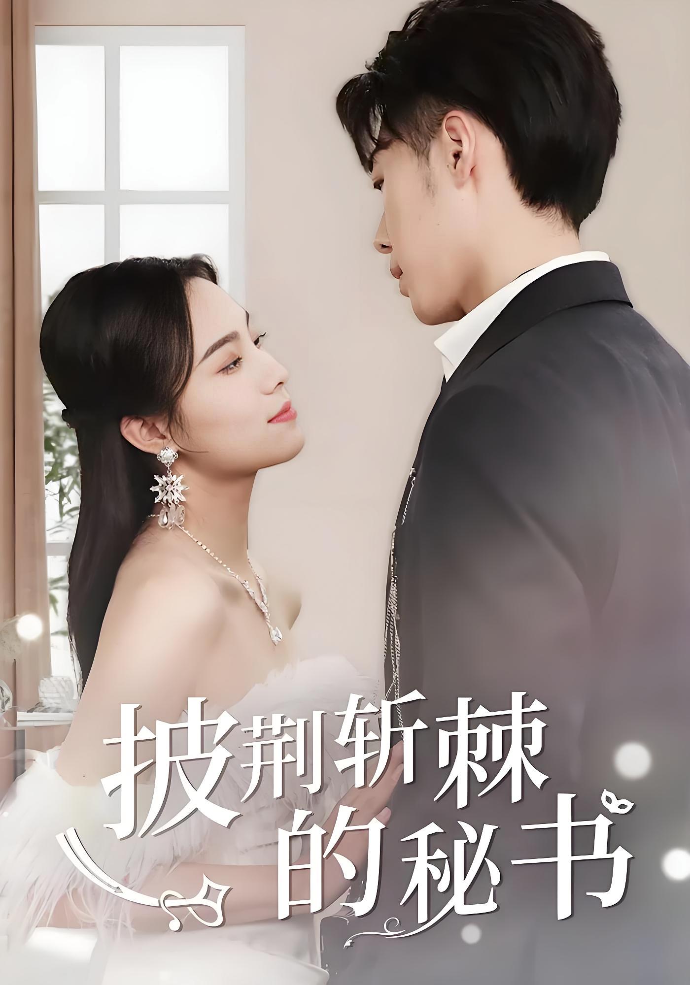 披荆斩棘的秘书