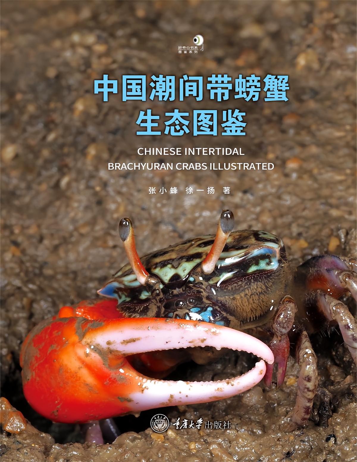 中国潮间带螃蟹生态图鉴