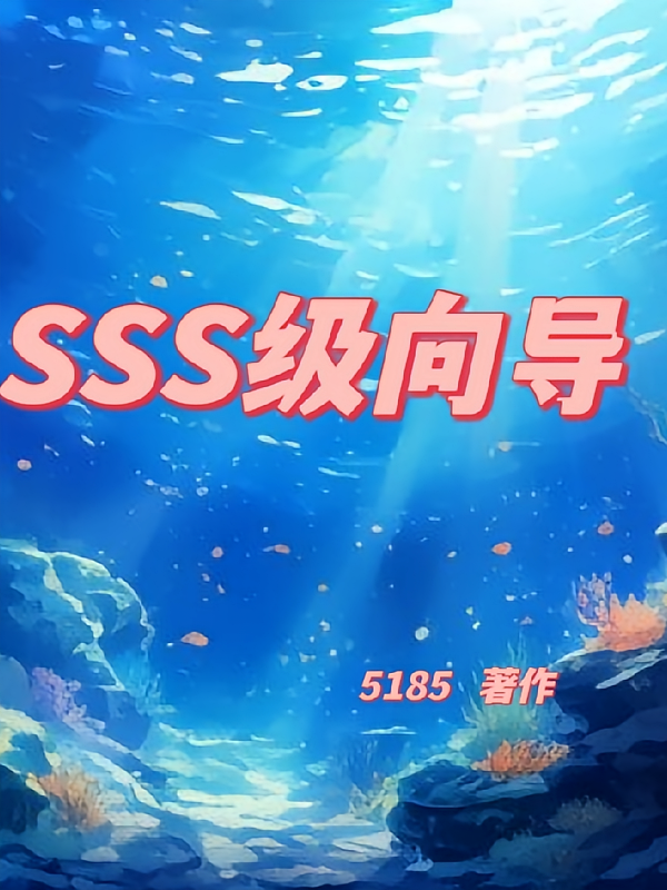 SSS级向导