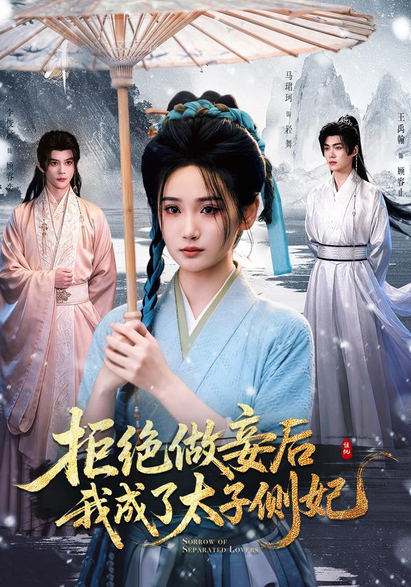 短剧《拒绝做妾后我成了太子侧妃》海报
