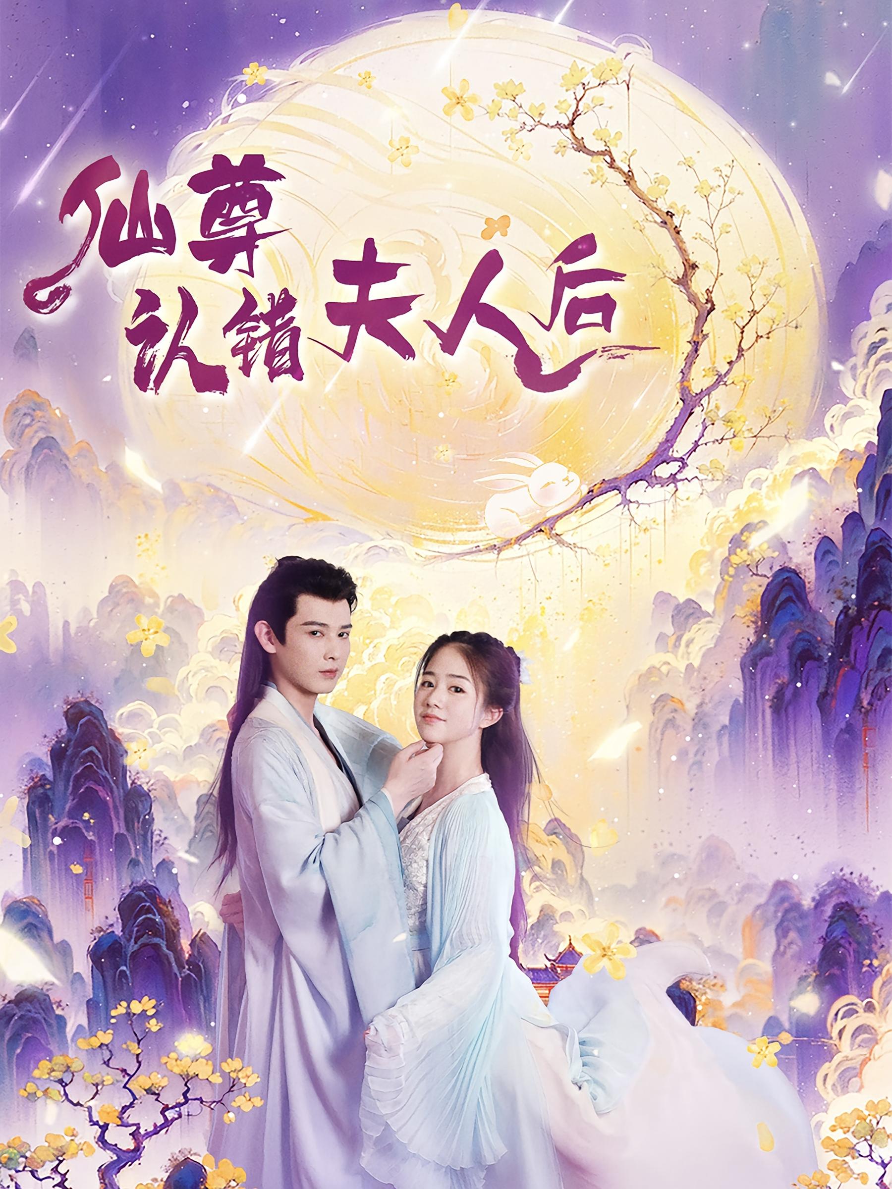 仙尊认错夫人后