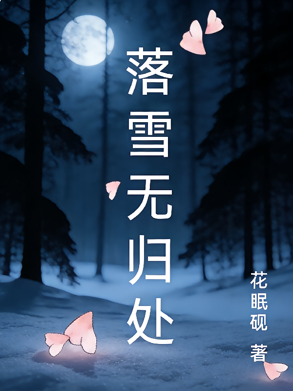 落雪无归处