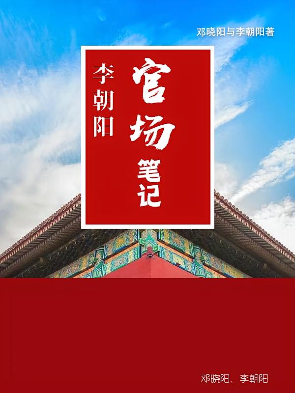 李朝阳官场笔记