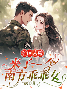 《军区大院来了一个南方乖乖女》封面