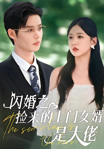 闪婚之捡来的上门女婿是大佬