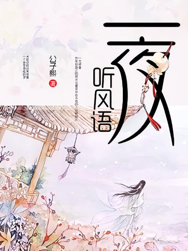一夜听风语