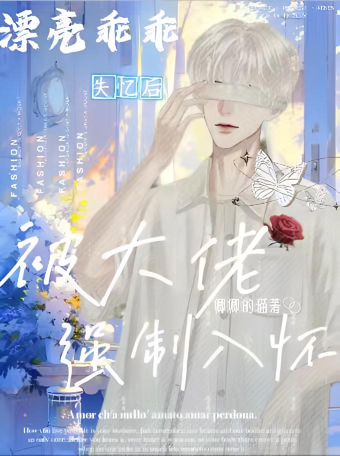 漂亮乖乖失忆后被大佬强制入怀