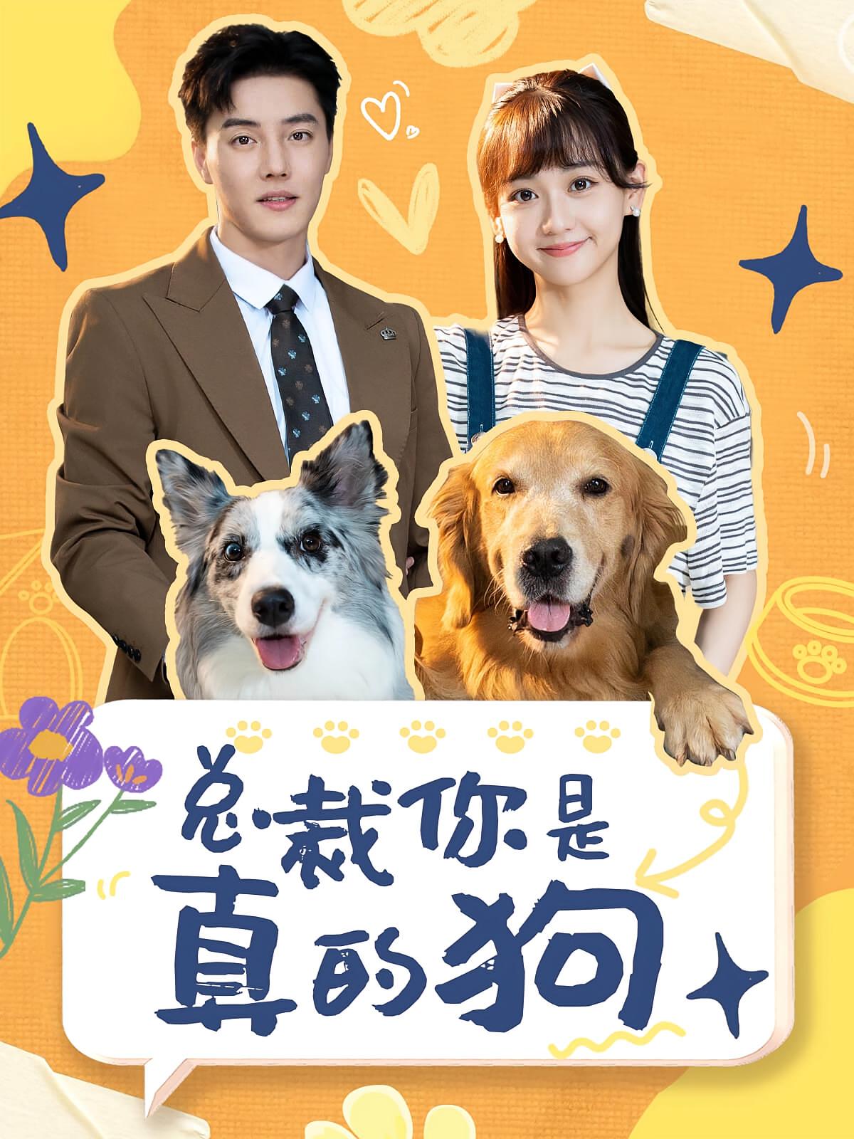 总裁你是真的狗