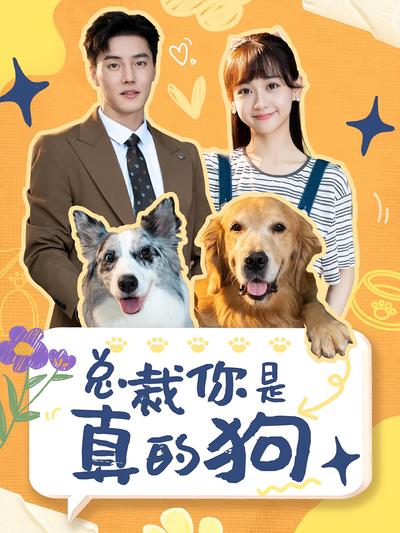 总裁你是真的狗