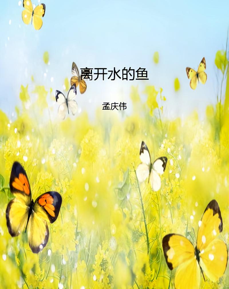 离开水的鱼