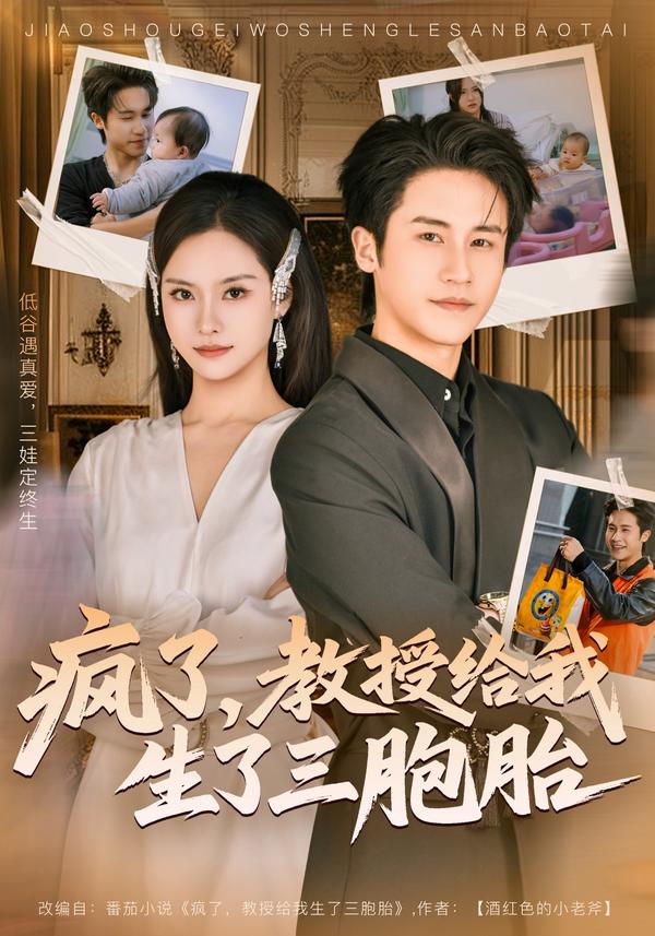 短剧疯了，教授给我生了三胞胎海报