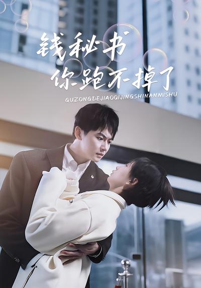 钱秘书你跑不掉了