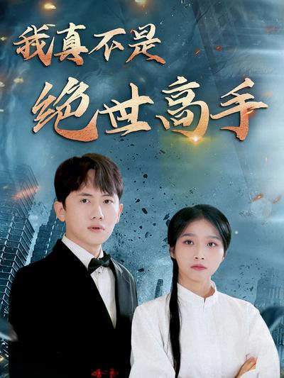 我真不是绝世高手