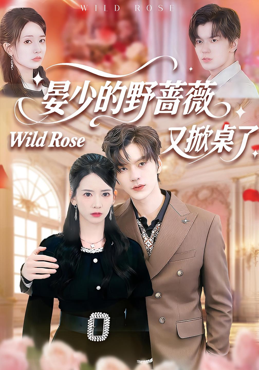 晏少的野蔷薇又掀桌了