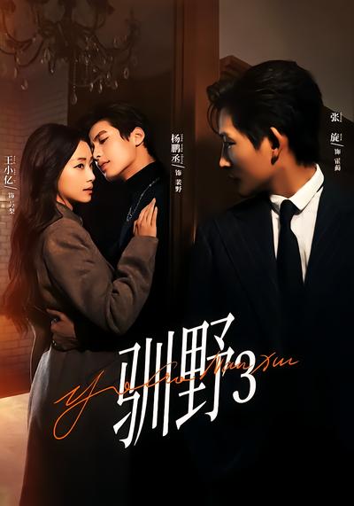 驯野3 - 在线观看