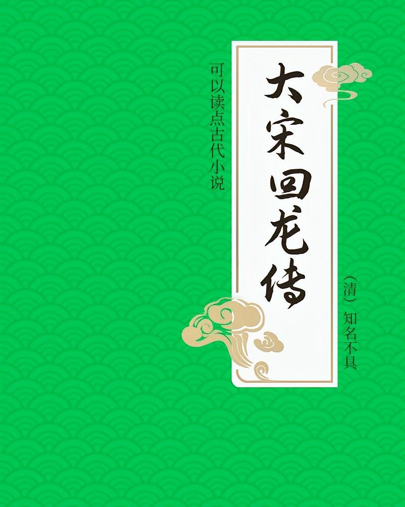 大宋回龙传