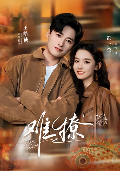 难撩封面