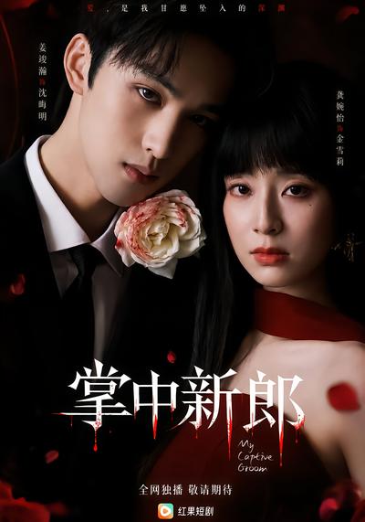 掌中新郎 - 在线观看