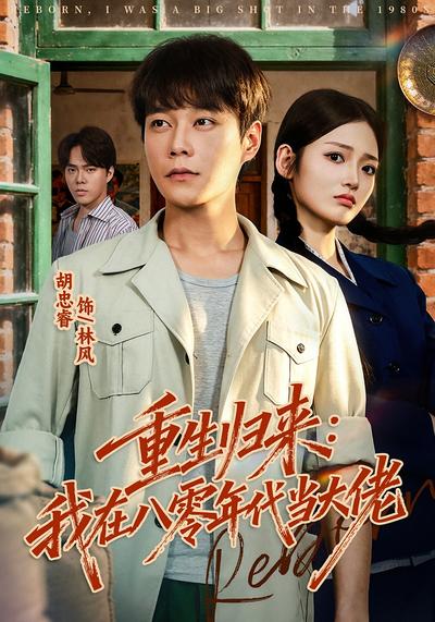重生归来：我在八零年代当大佬 - 在线观看