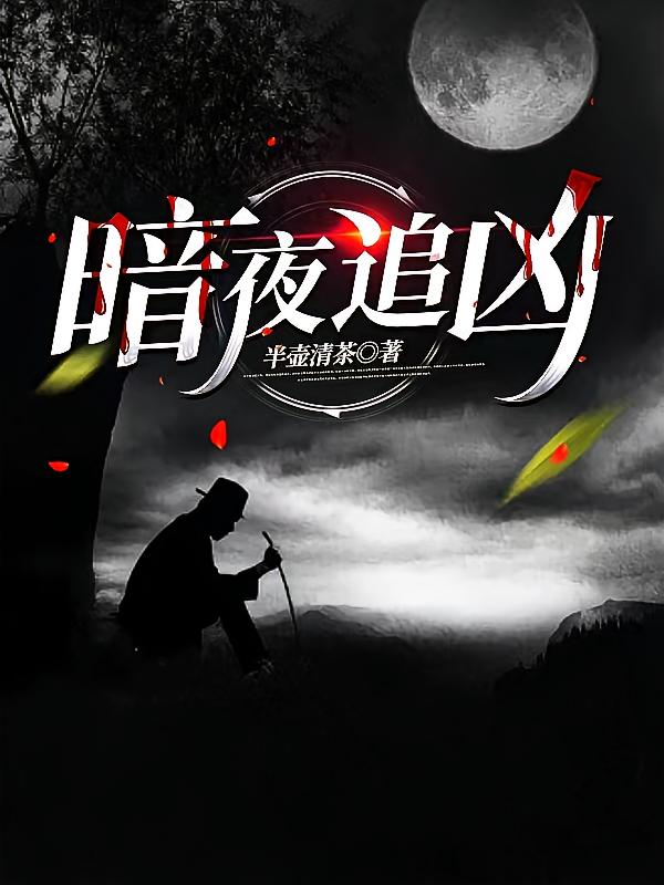 暗夜追凶