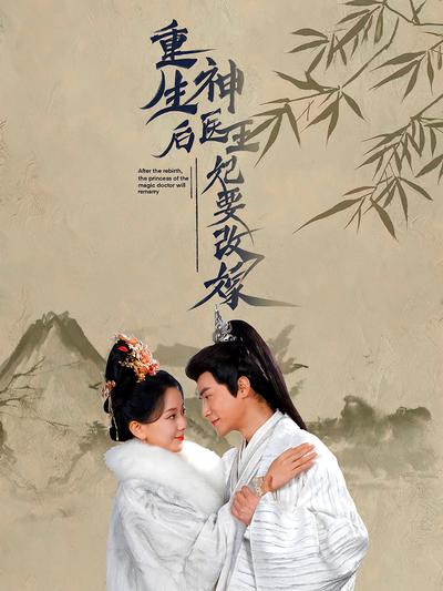 重生后神医王妃要改嫁