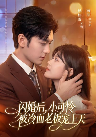闪婚后，小可怜被冷面老板宠上天 - 在线观看