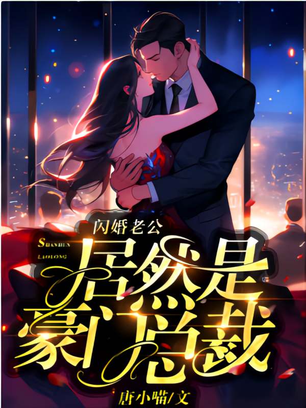 闪婚老公居然是豪门总裁