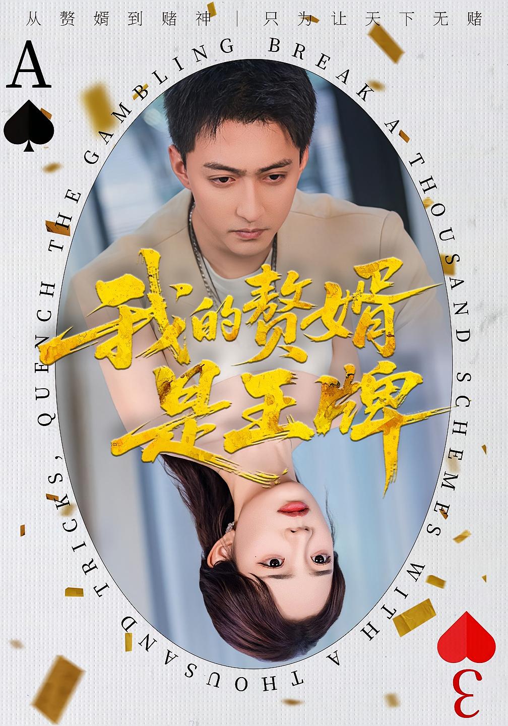 我的赘婿是王牌