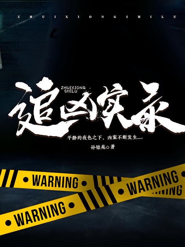 追凶实录