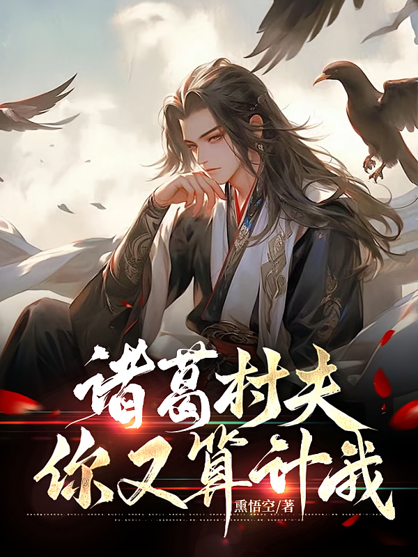 诸葛村夫，你又算计我