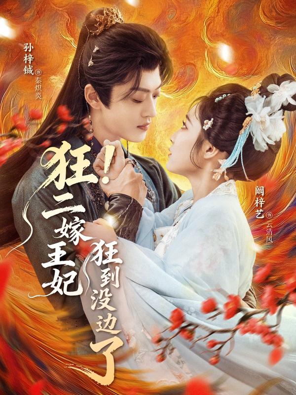 短剧狂！二嫁王妃狂到没边了海报