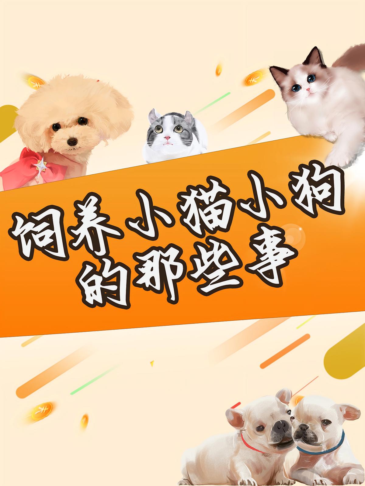饲养小猫小狗的那些事