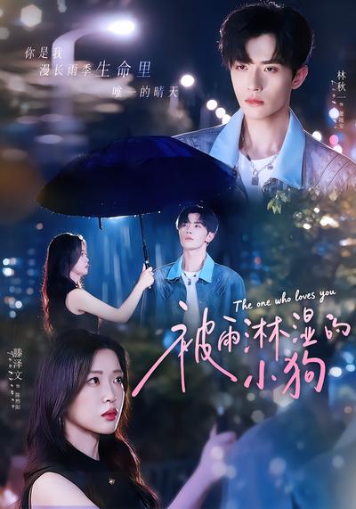 被雨淋湿的小狗 - 在线观看