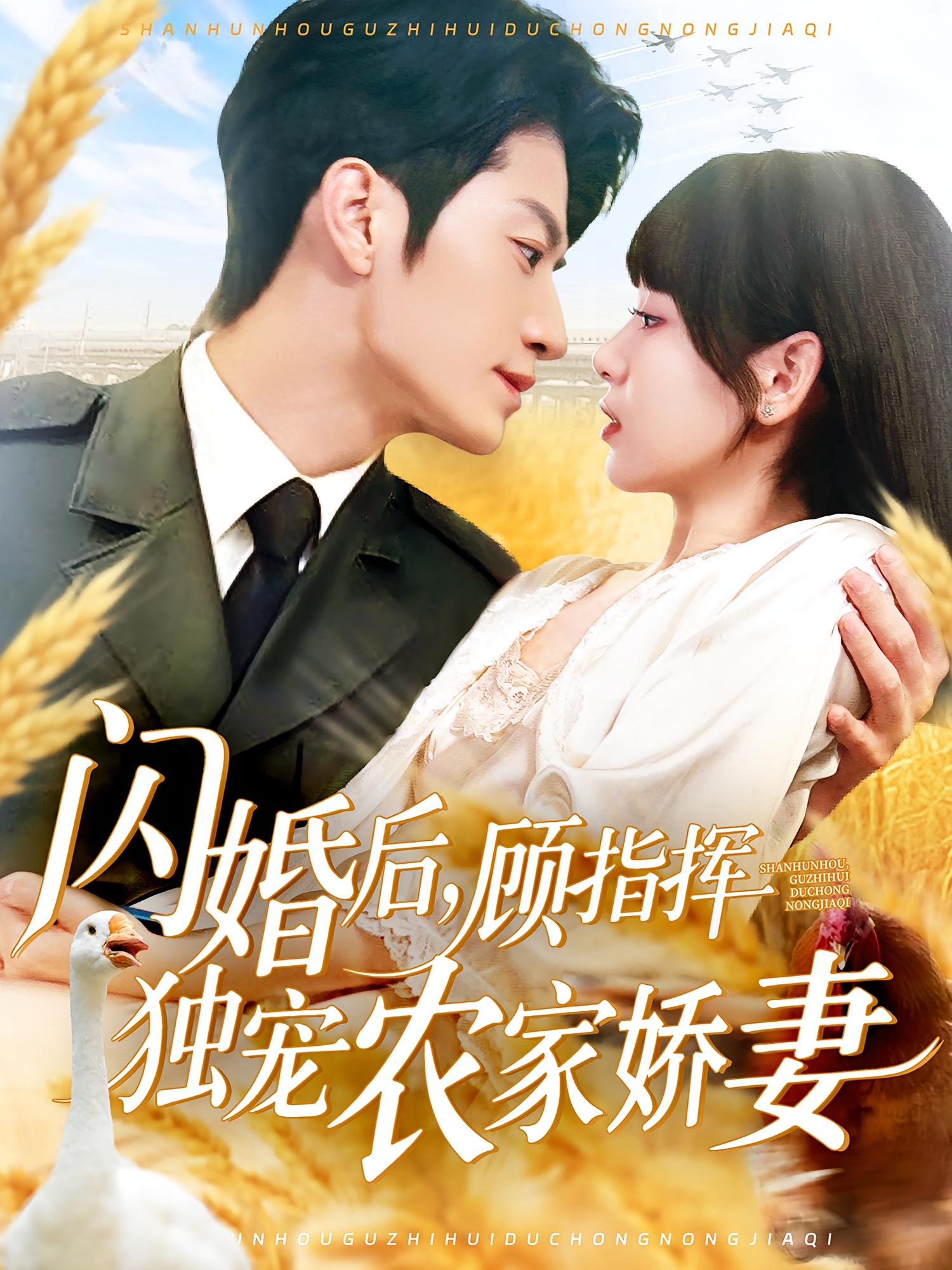 闪婚后，顾指挥独宠农家娇妻