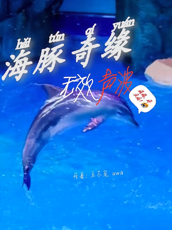 海豚奇缘无效声波