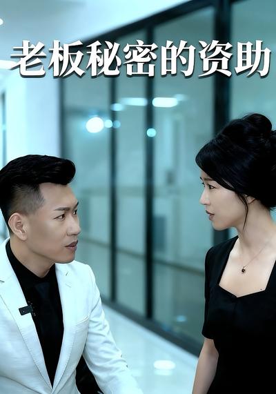 老板秘密的资助