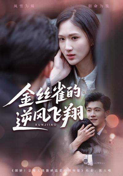 金丝雀的逆风飞翔