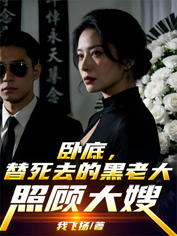 卧底，替死去的黑老大照顾大嫂