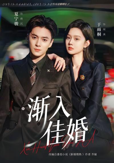 渐入佳婚封面