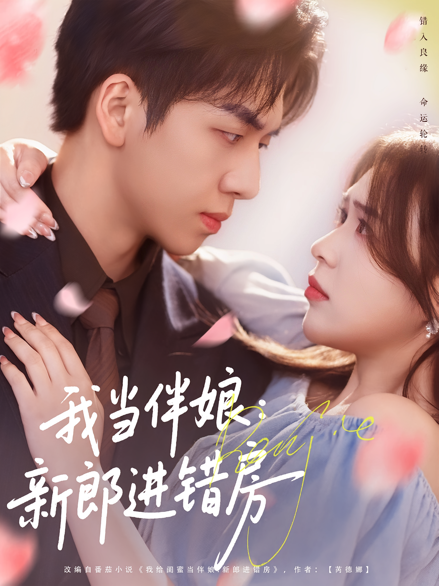 我当伴娘：新郎进错房