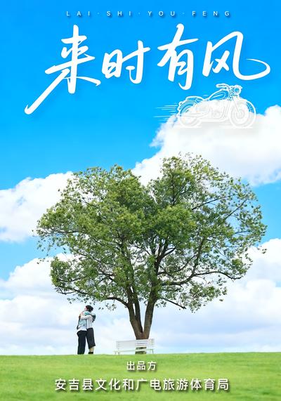 来时有风
