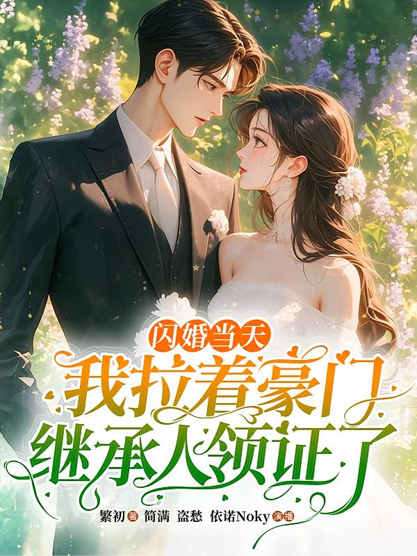 闪婚当天，我拉着豪门继承人领证了