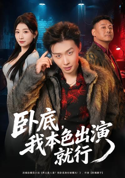 卧底，我本色出演就行 - 在线观看