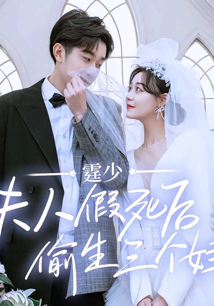 霆少，夫人假死后偷生三个娃