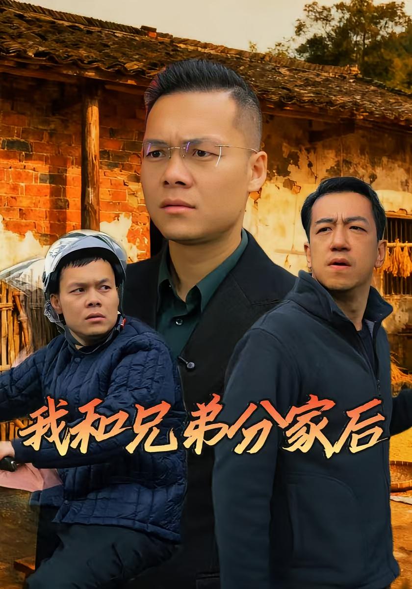 我和兄弟分家后