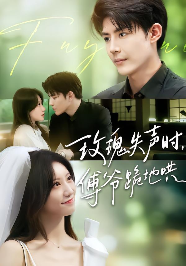 图：玫瑰失声时，傅爷跪地哄[引子]