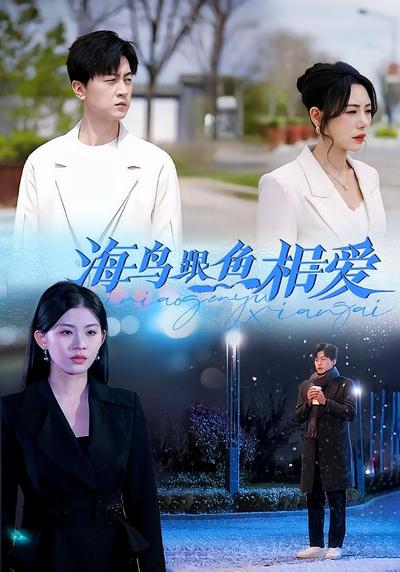 海鸟跟鱼相爱