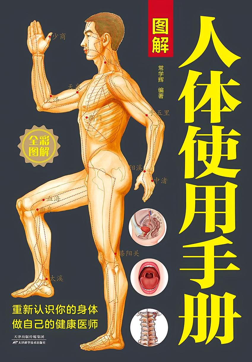 图解人体使用手册