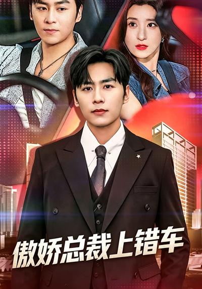 傲娇总裁上错车 - 在线观看